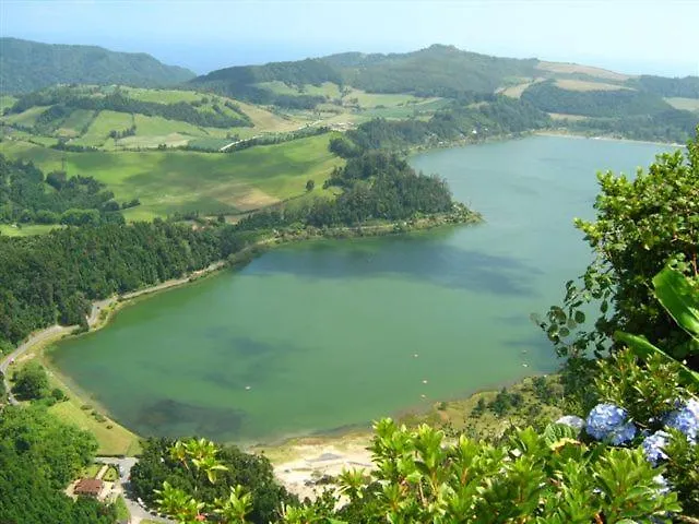 Oliveira * Furnas (Azores)